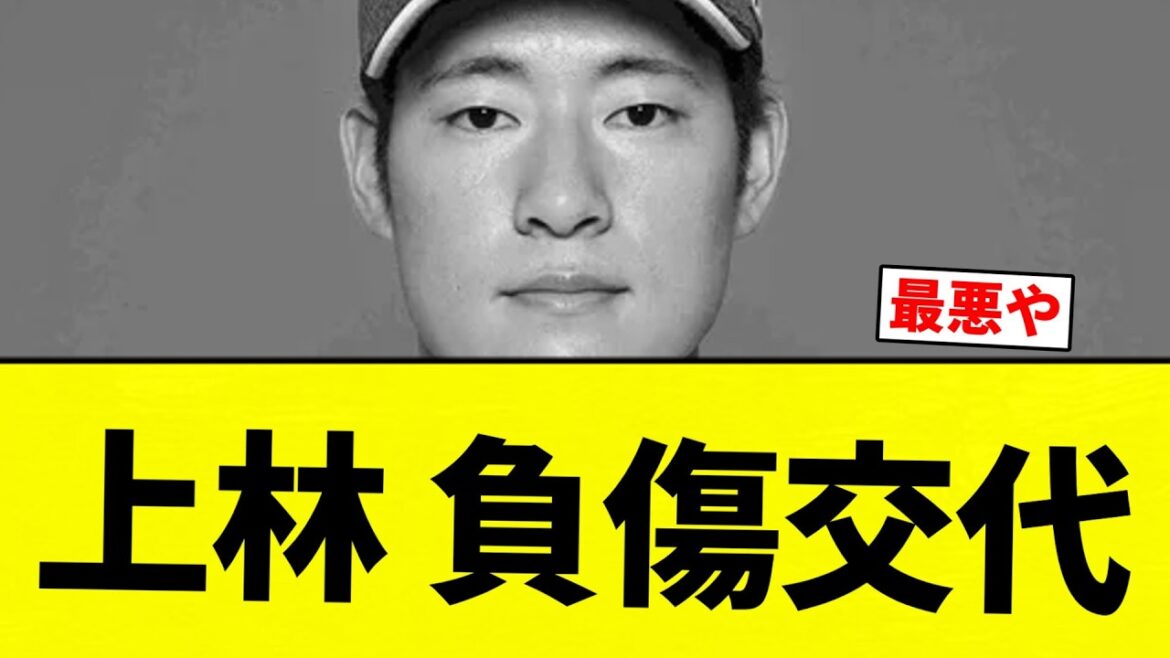 【ううう、うえばやしいいい；；】上林 負傷交代【プロ野球反応集】【2chスレ】【なんG】