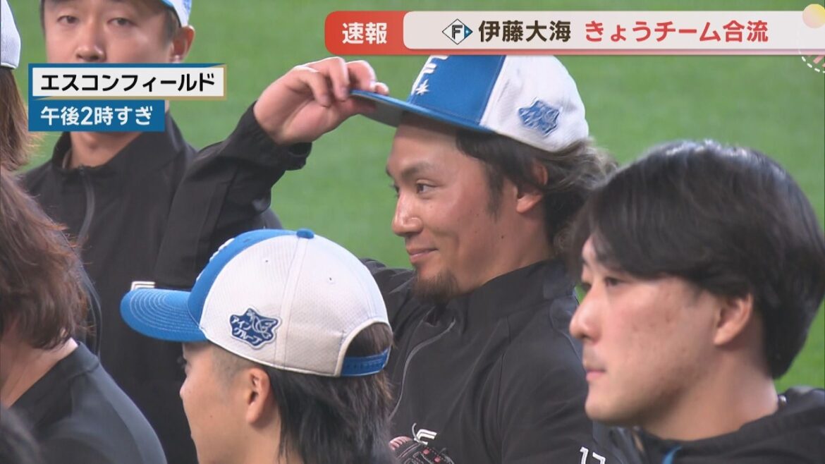 【ファイターズ】WBCから伊藤大海が合流！いまの思い語る！