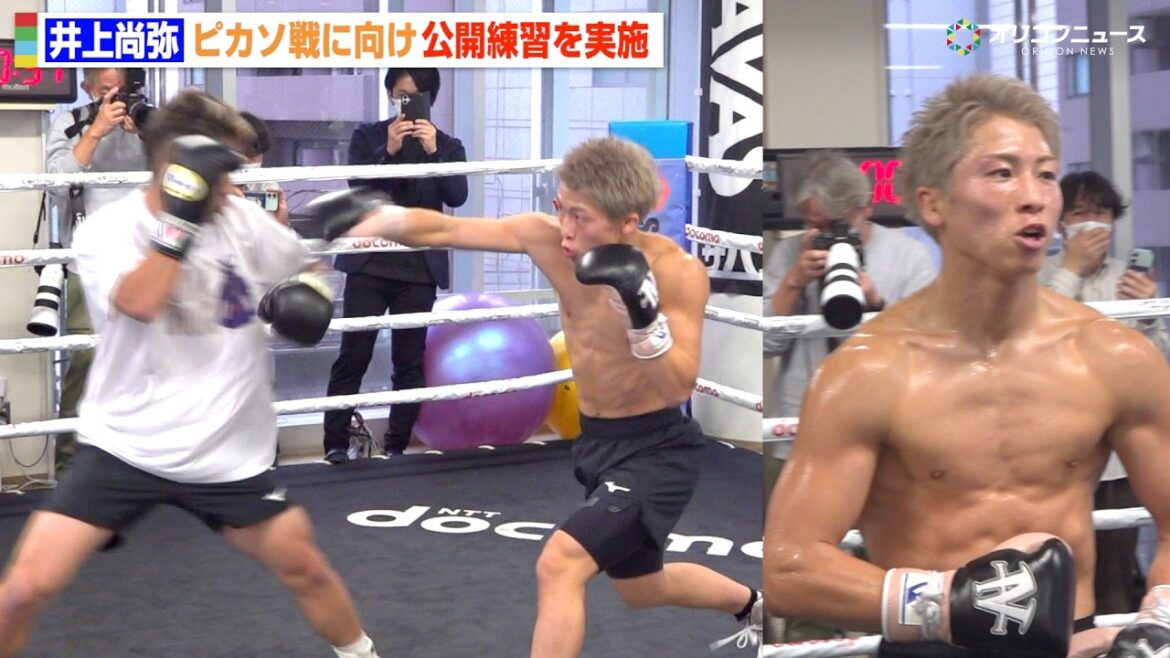 井上尚弥、ピカソ戦に向け弟・拓真と公開練習  マスボクシングで異次元の動きを見せる　『The Ring V: Night of the Samurai』公開練習