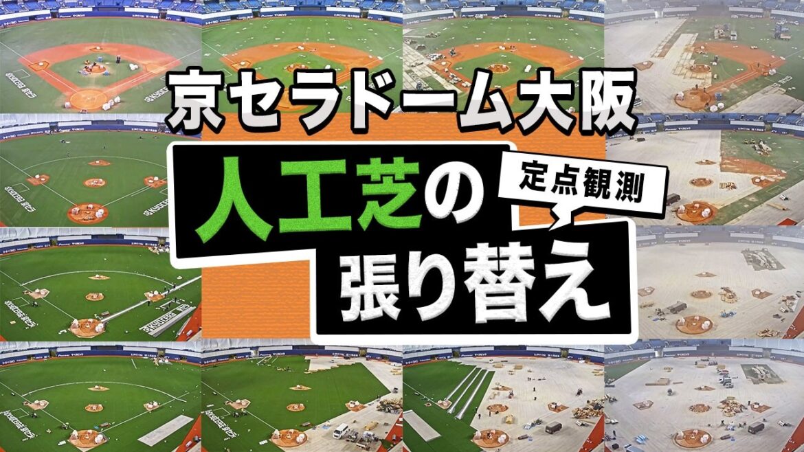 ORIX-Buffaloes: 【定点観測】京セラドーム大阪 8年ぶりに人工芝が張り替わるまで! 【定点観測】京セラドーム大阪 8年ぶりに人工芝が張り替わるまで!