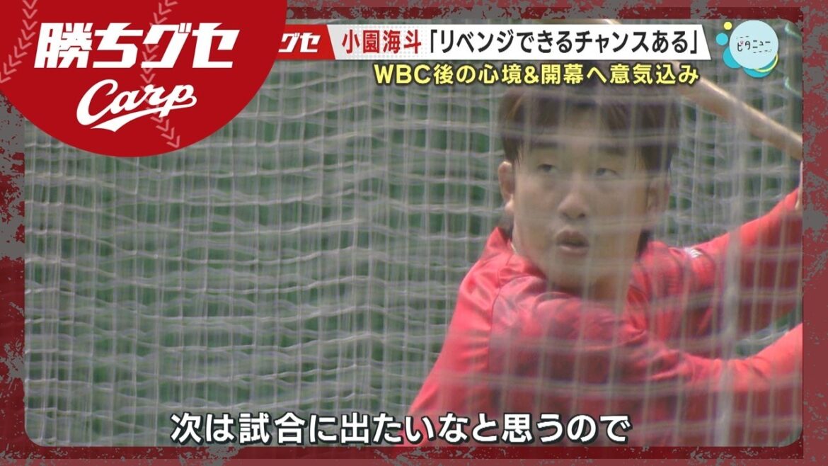 【Carp】WBC出場 小園海斗がマツダスタジアムで練習｜勝ちグセ｜カープ｜ピタニュー