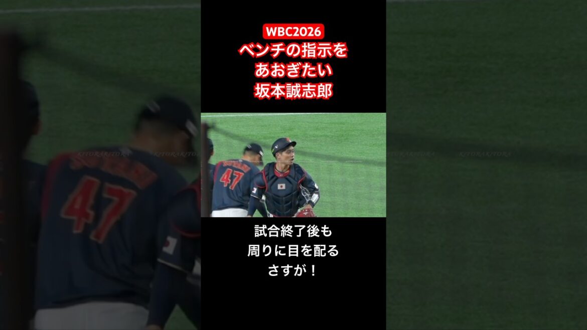 【WBC2026】試合終了後も周りに目を配る坂本誠志郎