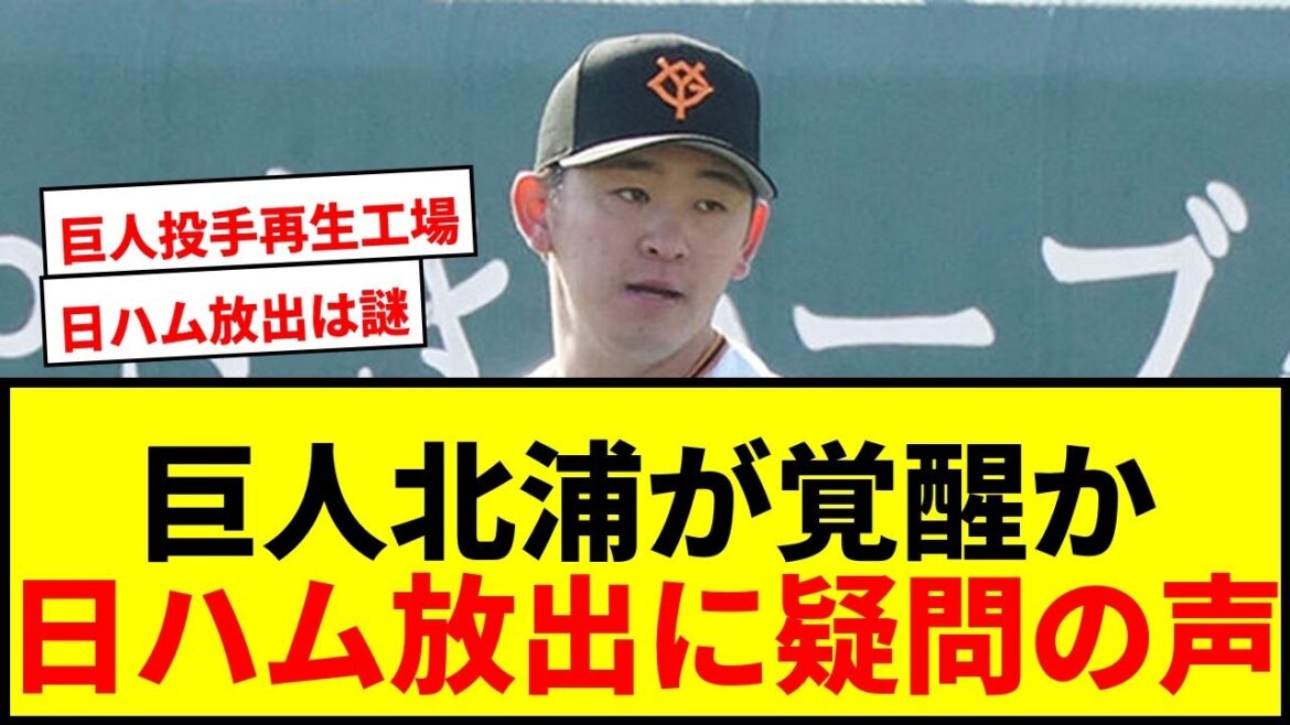 【衝撃】巨人・北浦竜次が覚醒気配でX歓喜「ええのとったわ!」日ハム放出に疑問の声 【衝撃】巨人・北浦竜次が覚醒気配でX歓喜「ええのとったわ!」日ハム放出に疑問の声