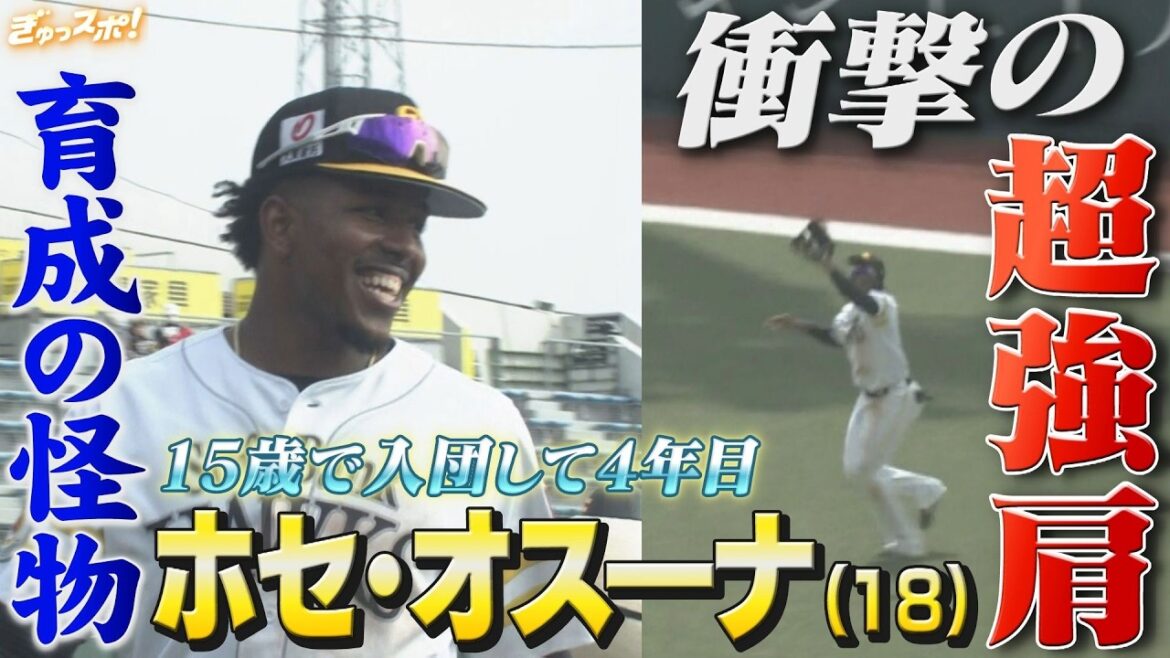 衝撃の超強肩を披露!15歳で入団した育成4年目の怪物 ホセ・オスーナ【ぎゅっスポ!ホークスこぼれ話】(2026年3月20日OA) 衝撃の超強肩を披露!15歳で入団した育成4年目の怪物 ホセ・オスーナ【ぎゅっスポ!ホークスこぼれ話】(2026年3月20日OA)