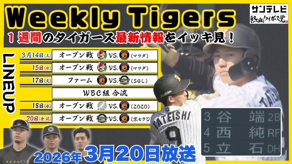 【3/14~20のタイガース情報🐯】立石初ヒット!WBC組がチーム復帰即活躍!若トラも大活躍でどうなる開幕スタメン #熱血タイガース党 【3/14~20のタイガース情報🐯】立石初ヒット!WBC組がチーム復帰即活躍!若トラも大活躍でどうなる開幕スタメン #熱血タイガース党