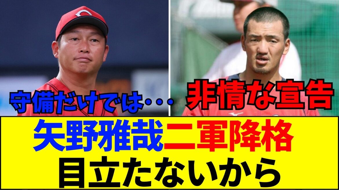 【速報】なぜ守備の名手・矢野雅哉は二軍に落とされたのか？新井監督の「目立たない」発言に隠された真意とショート争いの闇【ネットの反応】