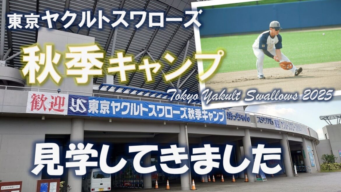 【野球vlog】松山の秋、ヤクルト秋季キャンプ始動！内山壮真選手の“新ポジション挑戦”を見学してきました