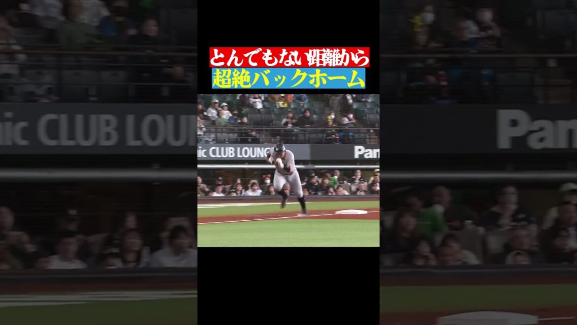 Pacific-League: 【ほぼノーバン…】右翼フェンス手前から超返球… #shorts 【ほぼノーバン…】右翼フェンス手前から超返球… #shorts