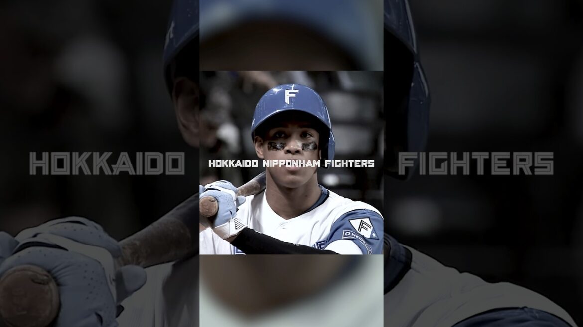 SNS担当者が送る《2025年を勝手にプレーバック②》5/10(土)、満塁ホームランで逆転を許すも、すかさず満塁ホームラン返しを放った万波中正選手をプレーバック#ドミれ #lovefighters