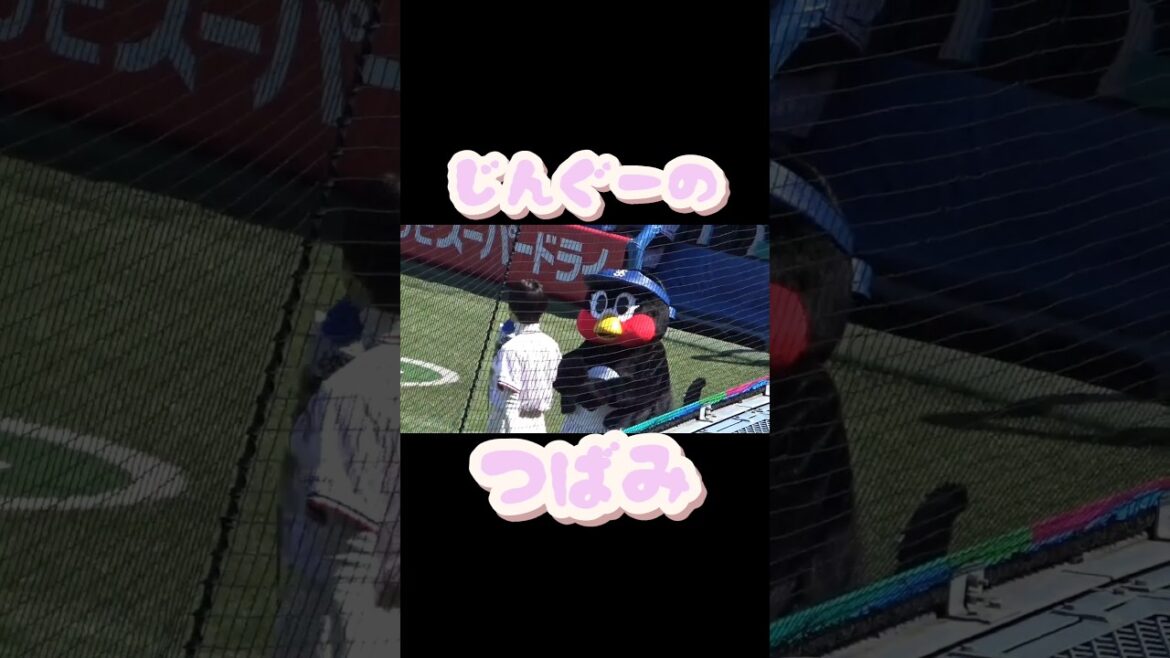 #つばみ 　 #東京ヤクルトスワローズ 　#神宮球場 　#燕心全開 　#shorts  　 #燕征 　 #応燕 　#オープン戦