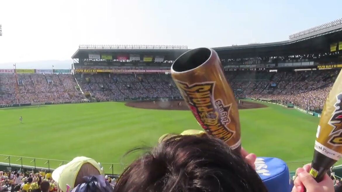 阪神タイガース　渡邉諒がG菅野から先制タイムリー　＠甲子園　20240526