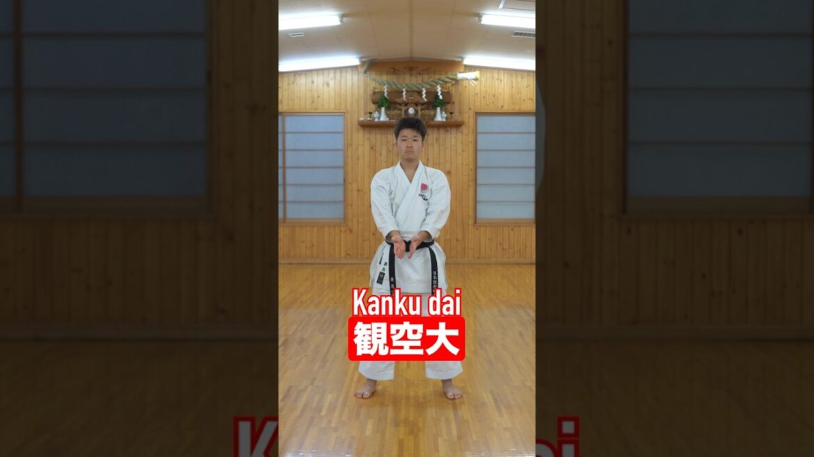 観空大(カンクウダイ) #空手 #型