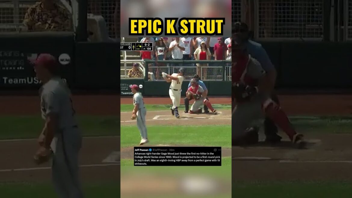 Gage Wood just threw one of the best games in college baseball history: 19 k no hitter in the CWS