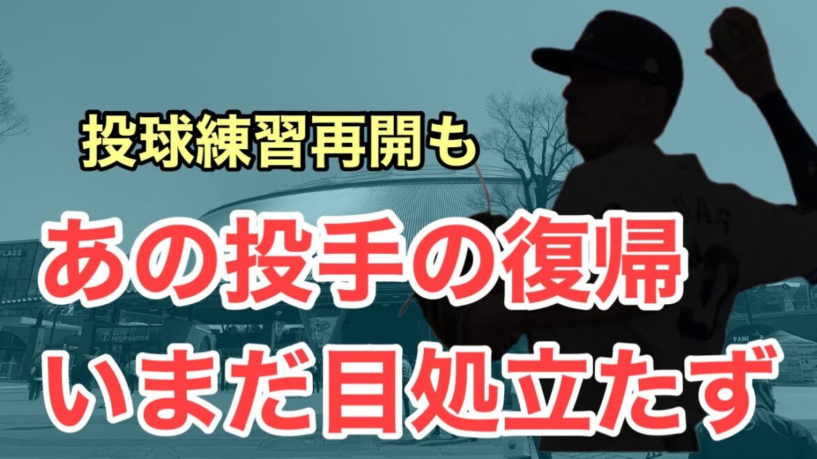 【超速報】あの投手の復帰の目処がまだ立ってない件について
