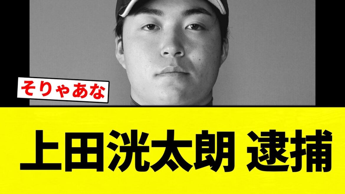 【逮捕】上田洸太朗 逮捕【プロ野球反応集】【2chスレ】【なんG】