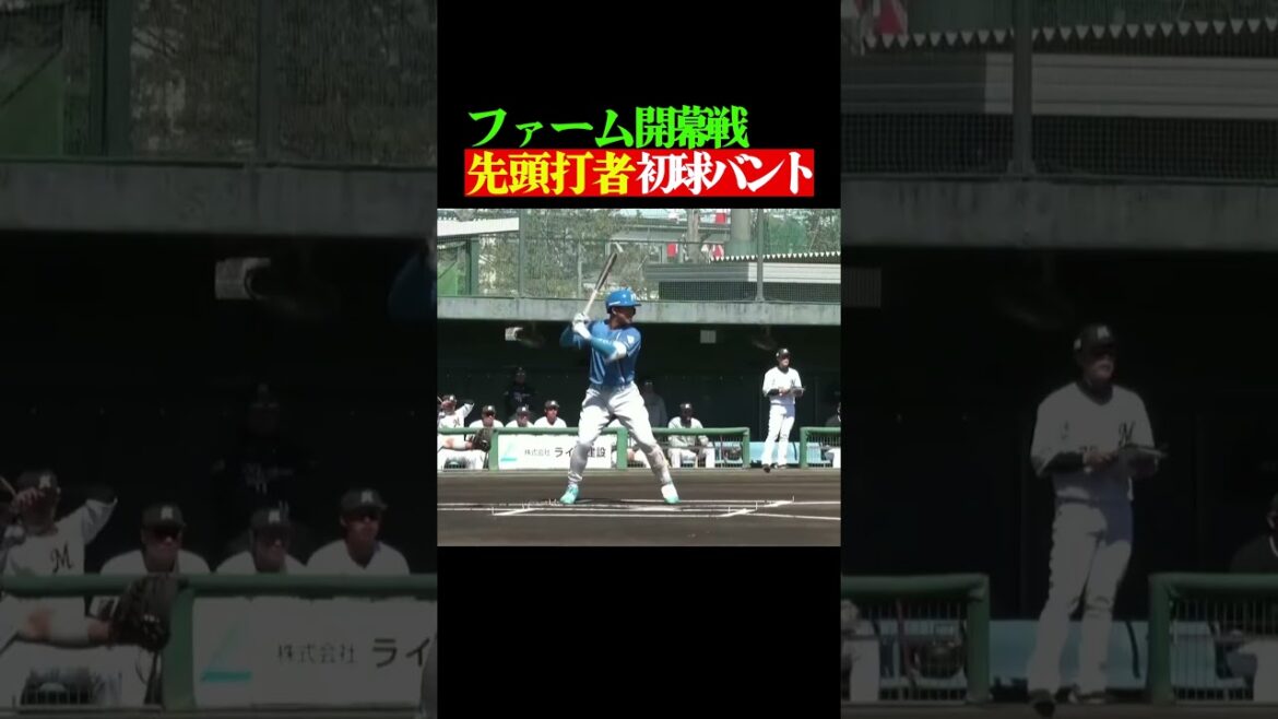 Pacific-League: 【ファーム開幕戦の初球で】万波中正の”セーフティーバント” #shorts 【ファーム開幕戦の初球で】万波中正の”セーフティーバント” #shorts