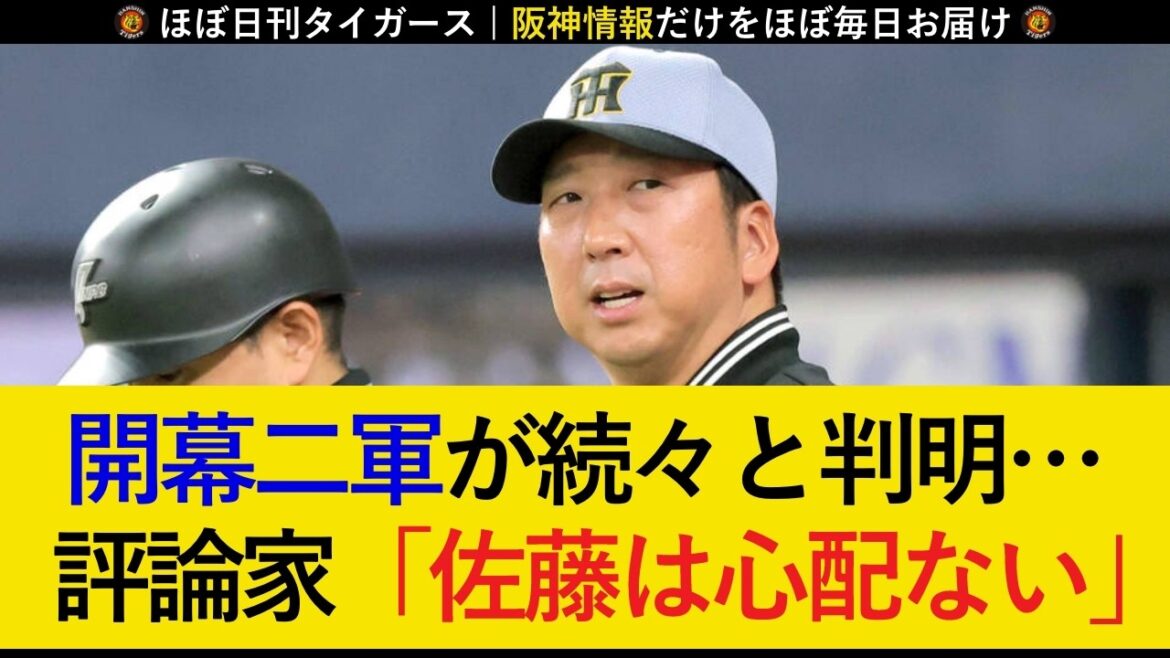 【熾烈すぎる争い…】熾烈な競争で新戦力や期待の若手が開幕二軍濃厚に…。極度の不振に喘ぐ佐藤輝明は心配無用か【阪神タイガース】 【熾烈すぎる争い...】熾烈な競争で新戦力や期待の若手が開幕二軍濃厚に...。極度の不振に喘ぐ佐藤輝明は心配無用か【阪神タイガース】