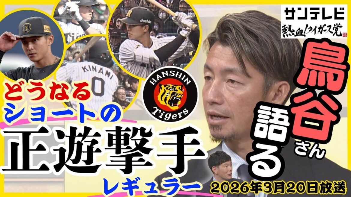 【熱覇のカギはショート】虎のレジェンド遊撃手・鳥谷敬さんと分析！2026年のタイガースの正遊撃手争い #熱血タイガース党