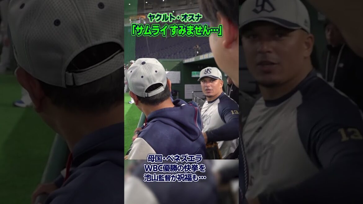 【サムライすみません…】ヤクルト・オスナ、母国・ベネズエラWBC優勝の快挙を池山監督が祝福も…