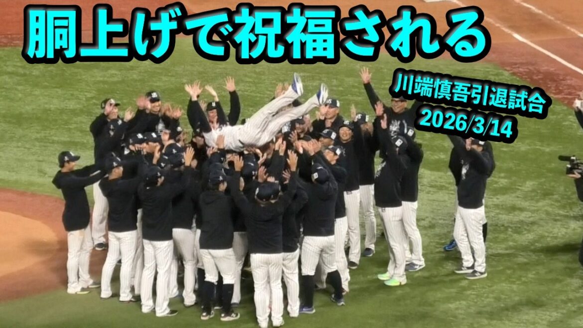 川端慎吾、胴上げで祝福される!with 廣岡大志 20260314 川端慎吾、胴上げで祝福される!with 廣岡大志 20260314