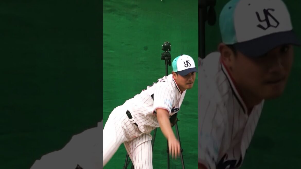 カウントダウンあと3日 #swallows #開幕 #shorts カウントダウンあと3日 #swallows #開幕 #shorts