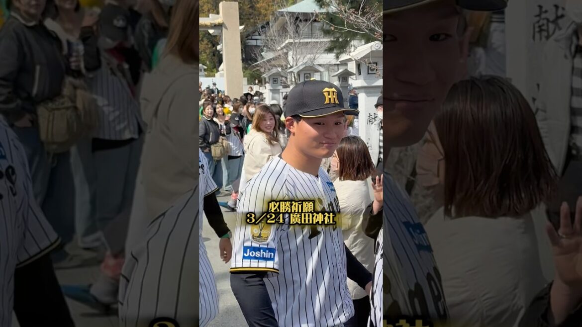 阪神タイガースが廣田神社で必勝祈願3/24 帰り道です #阪神タイガース #阪神 #阪神ファン #森下翔太 #佐藤輝明 #近本光司 #木浪聖也 #岩崎優 #プロ野球 #西宮 #必勝祈願 #廣田神社