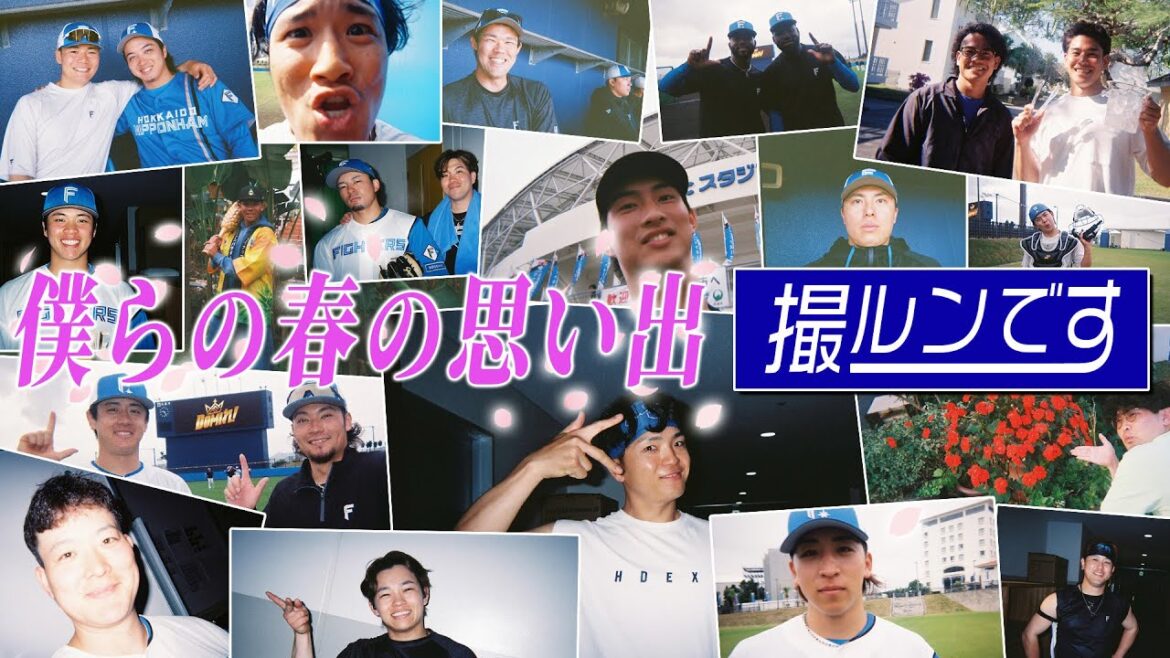 【僕らの春の思い出】インスタントカメラ春季キャンプ企画