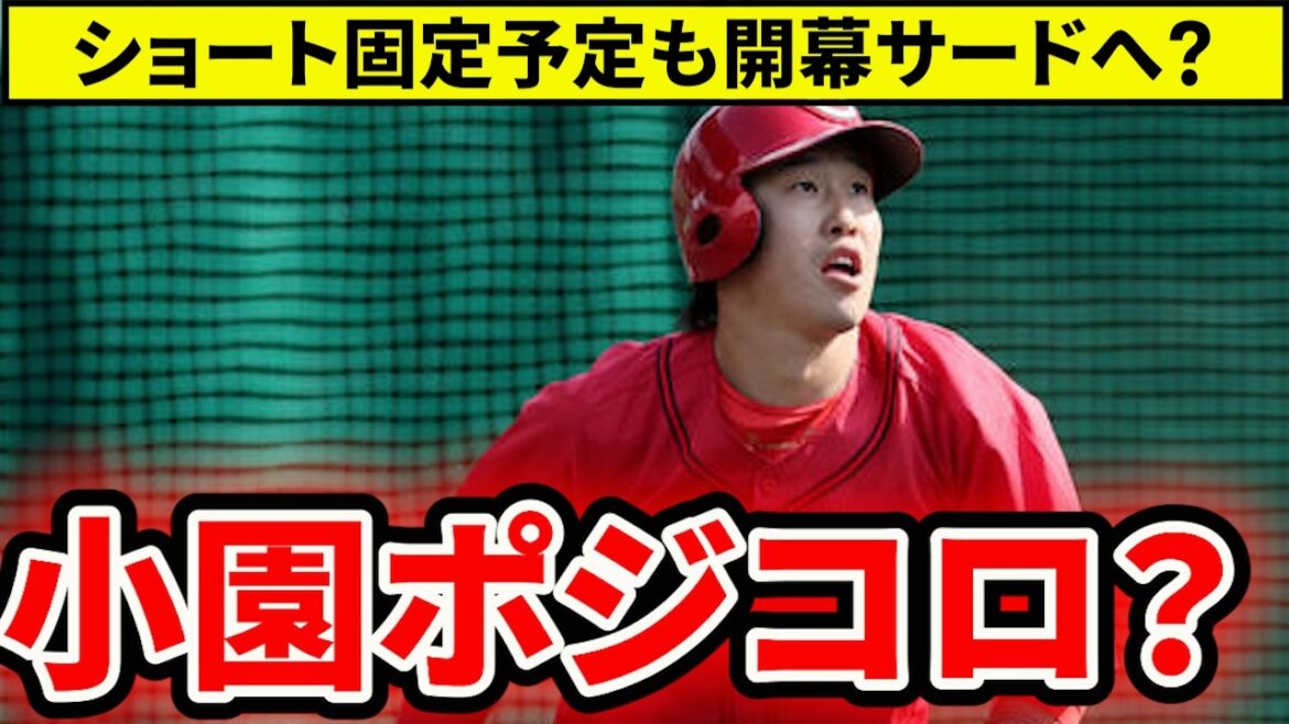 【広島】今年も小園ポジコロ？開幕サード小園になりそうな原因とは？【広島東洋カープ】