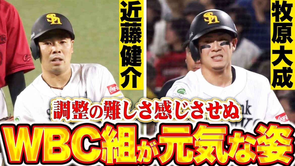 【WBC組が元気な姿】近藤健介・牧原大成『調整の難しさも感じさせぬ…際立つ攻守での存在感!』 【WBC組が元気な姿】近藤健介・牧原大成『調整の難しさも感じさせぬ…際立つ攻守での存在感!』