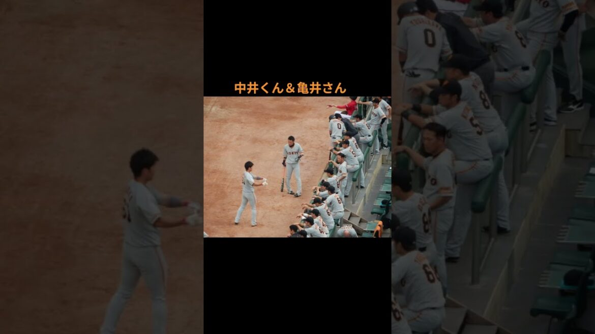 【超貴重】2017年巨人ベンチ前！若き日の岡本和真と陽岱鋼・亀井・背番号０の吉川尚輝、巨人主力メンバーの試合前
