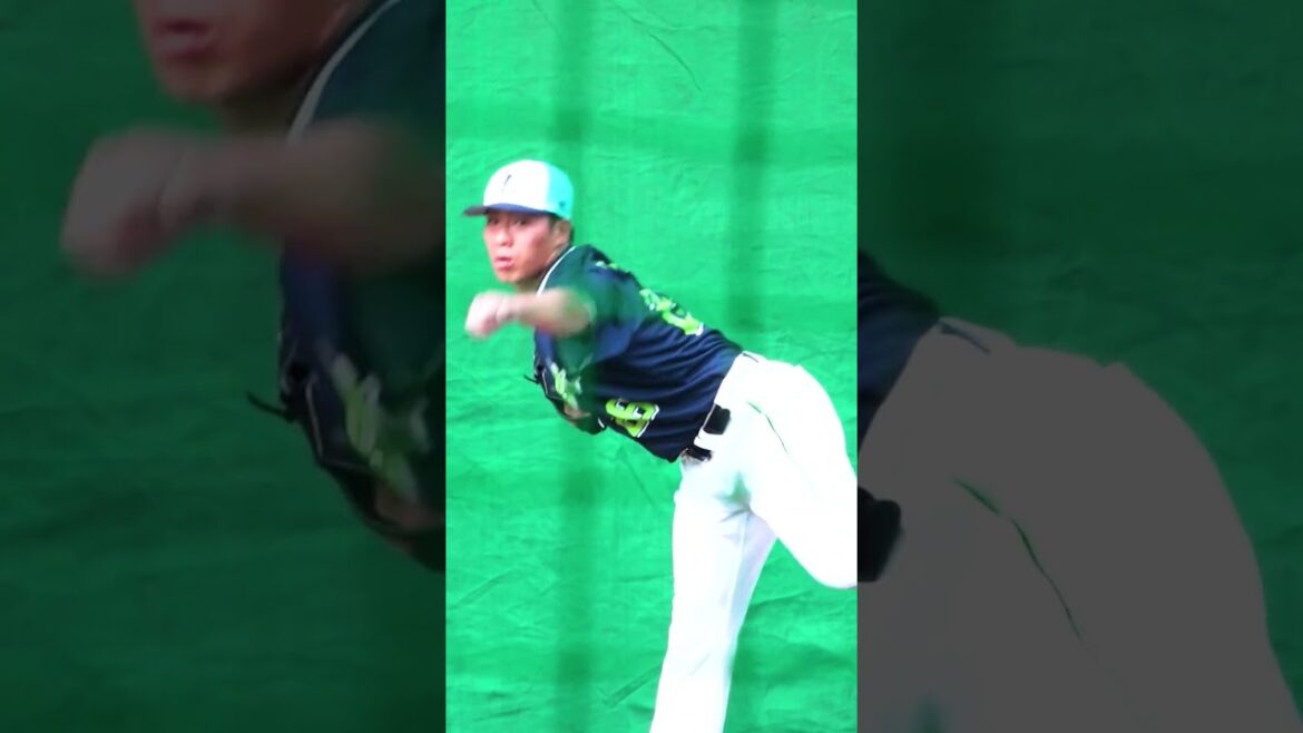 シーズン開幕カウントダウン あと2日！　#swallows #開幕 #shorts