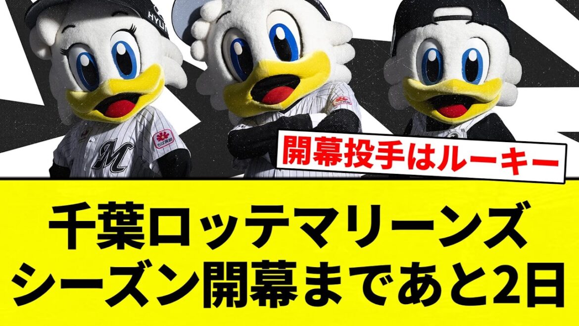 【もうこれパの海浜幕張にある球団だろ！】千葉ロッテマリーンズ　シーズン開幕まであと2日【プロ野球反応集】【2chスレ】【なんG】