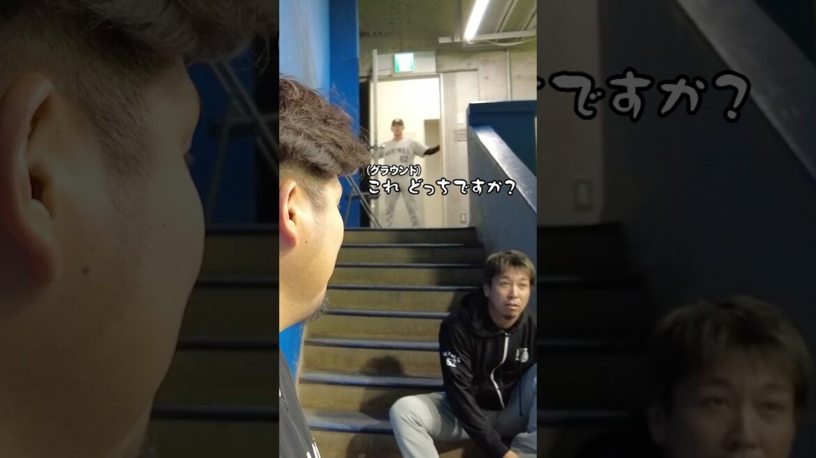 坂井遼、はじめてのバンテリンドーム #chibalotte