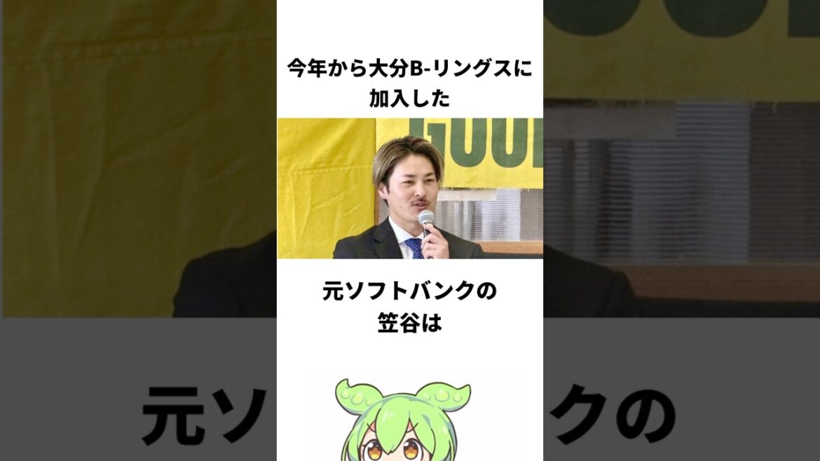 【独立リーグ】最近起こった独立リーグの出来事7 #プロ野球 #独立リーグ #千葉スカイセイラーズ #四国アイランドリーグ #大分bリングス #宮崎サンシャインズ #笠谷俊介 #菊田翔友 #ずんだもん