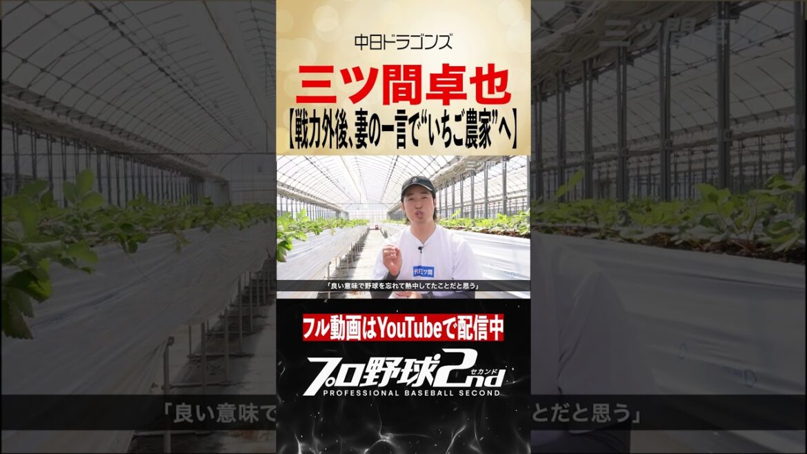 戦力外後…妻の一言でいちご農家へ｜三ツ間卓也の野球人生（中日ドラゴンズ）#dragons
