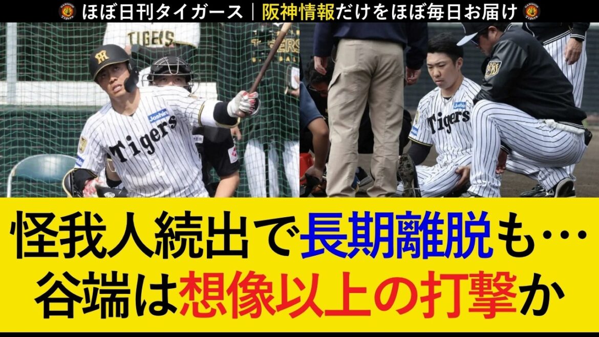 【悪夢の紅白戦に…】石井& 伊藤将司に相次いでアクシデント発生...。長期離脱の可能性も...。今朝丸・谷端・西純矢はアピールに成功！【阪神タイガース】