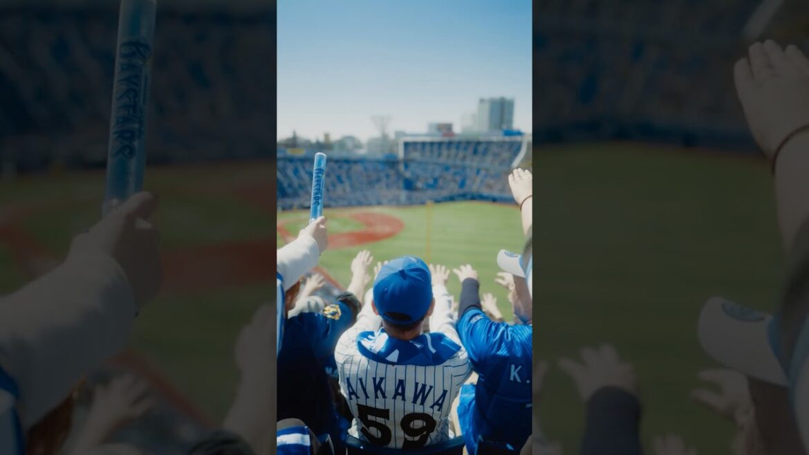 Go ! DeNA BAYSTARS !