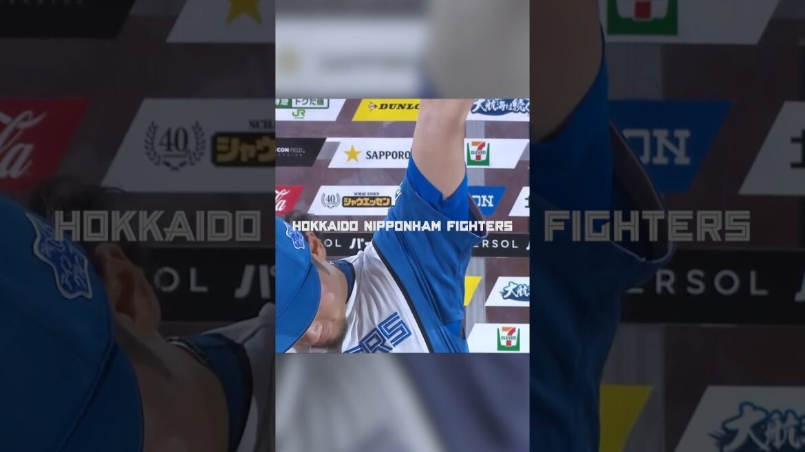 SNS担当者が送る《2025年を勝手にプレーバック最終回🔥》8/24(日)、9回無失点の力投、伊藤大海投手とサヨナラ打を放った奈良間大己選手をプレーバック！#ドミれ #lovefighters