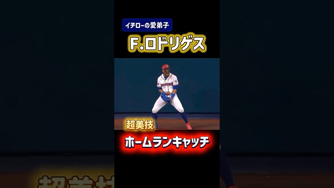F.ロドリゲス🇩🇴ホームランキャッチ⚾️ #wbc #野球 #メジャーリーグ