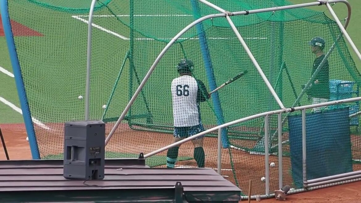2025.09.14 東京ヤクルト-埼玉西武 #渡部健人 打撃練習 (戸田球場)