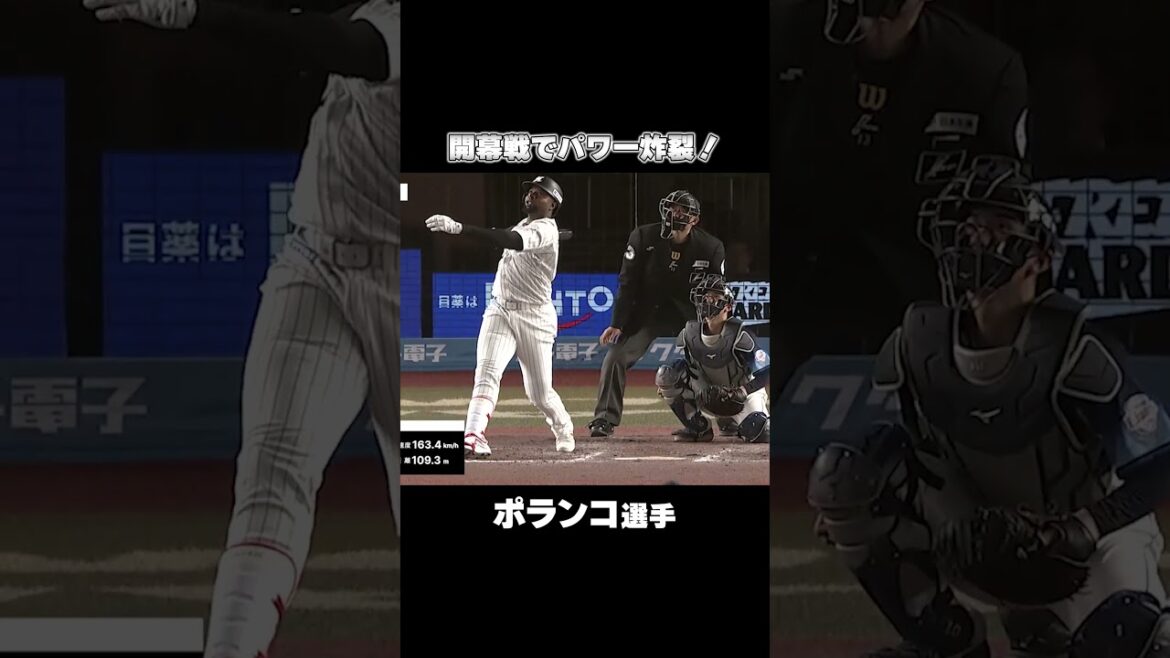 開幕戦でパワー炸裂！#ポランコ #chibalotte