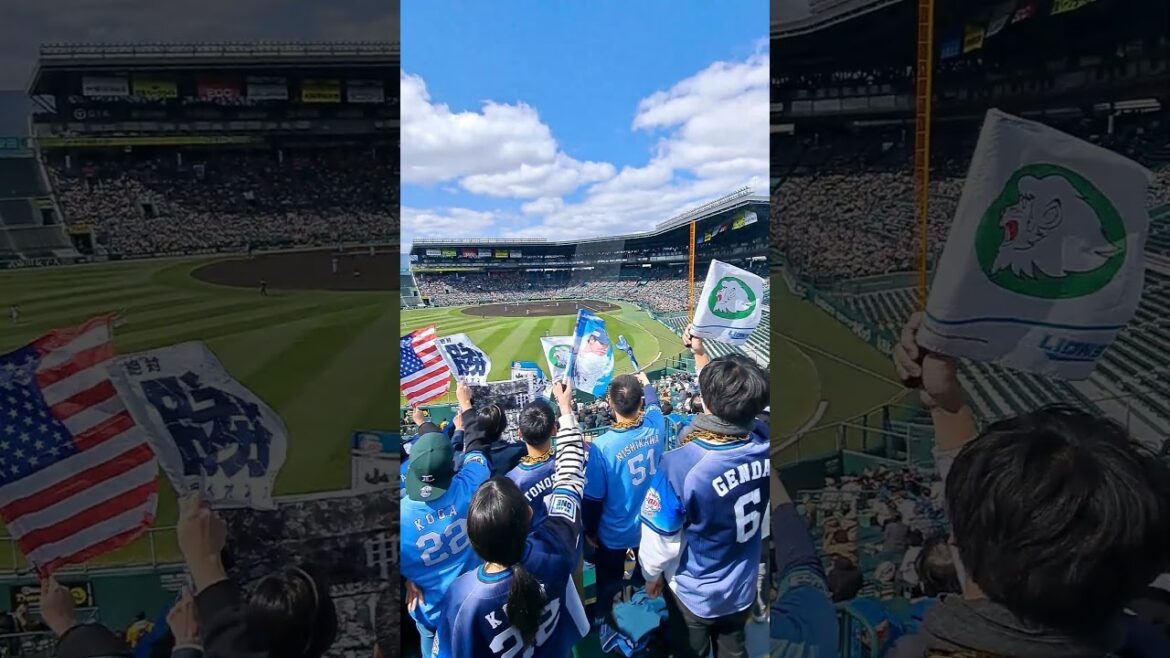 【大迫力の甲子園スタンド！】西武ライオンズ ヒットテーマ 応援歌 (2026年 3月10日 撮影) #埼玉西武ライオンズ #応援歌 #ライオンズ #西武ライオンズ #プロ野球 #応援 #甲子園 #阪神