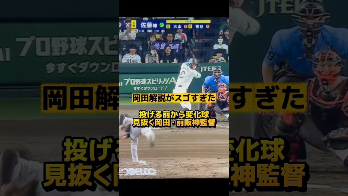 『投げる前から分かる』ってスゴくない⁉️
