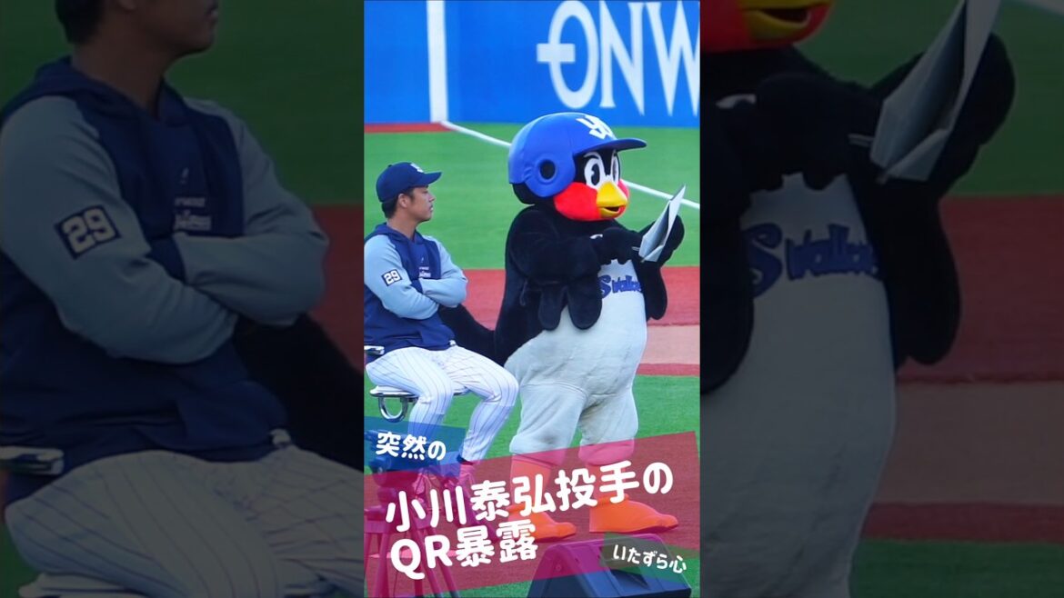 本人も見守る中で、突然の小川泰弘投手のQR暴露   #shorts  ＃つば九郎