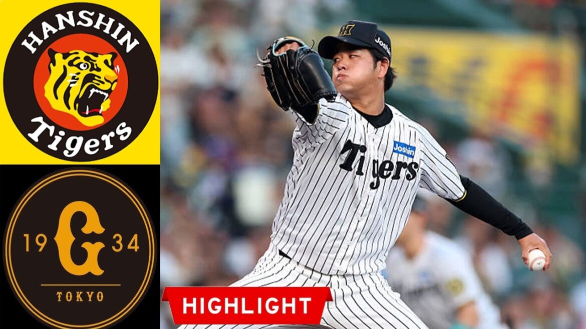 【フルハイライト】阪神タイガース vs 読売ジャイアンツ|2026年3月28日 NPB公式戦ダイジェスト 【フルハイライト】阪神タイガース vs 読売ジャイアンツ|2026年3月28日 NPB公式戦ダイジェスト