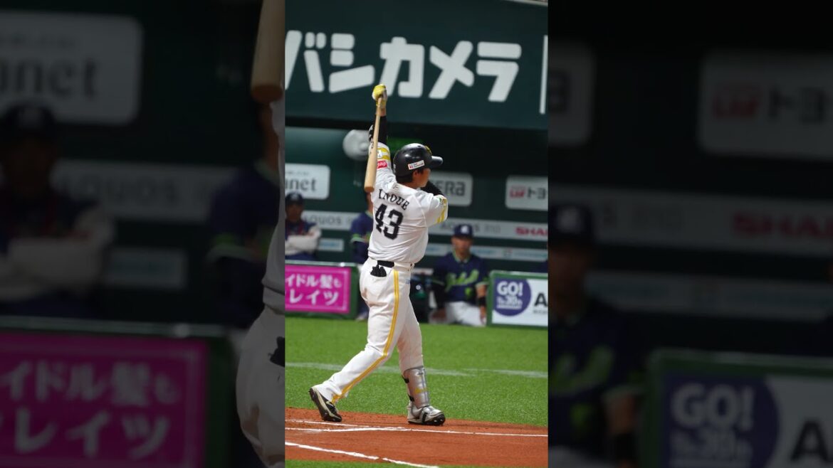 Sh 背番号４３ 井上朋也▶︎登場曲『ココロオドル／nobodyknow +』▶︎2026シーズンスタートデー（2026.3.3）▶福岡ソフトバンクホークス #shorts