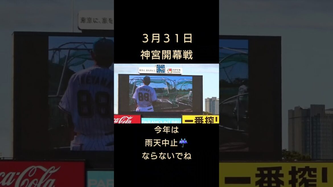 #東京ヤクルトスワローズ 　#神宮球場 　 #燕心全開 　#池山隆寛
