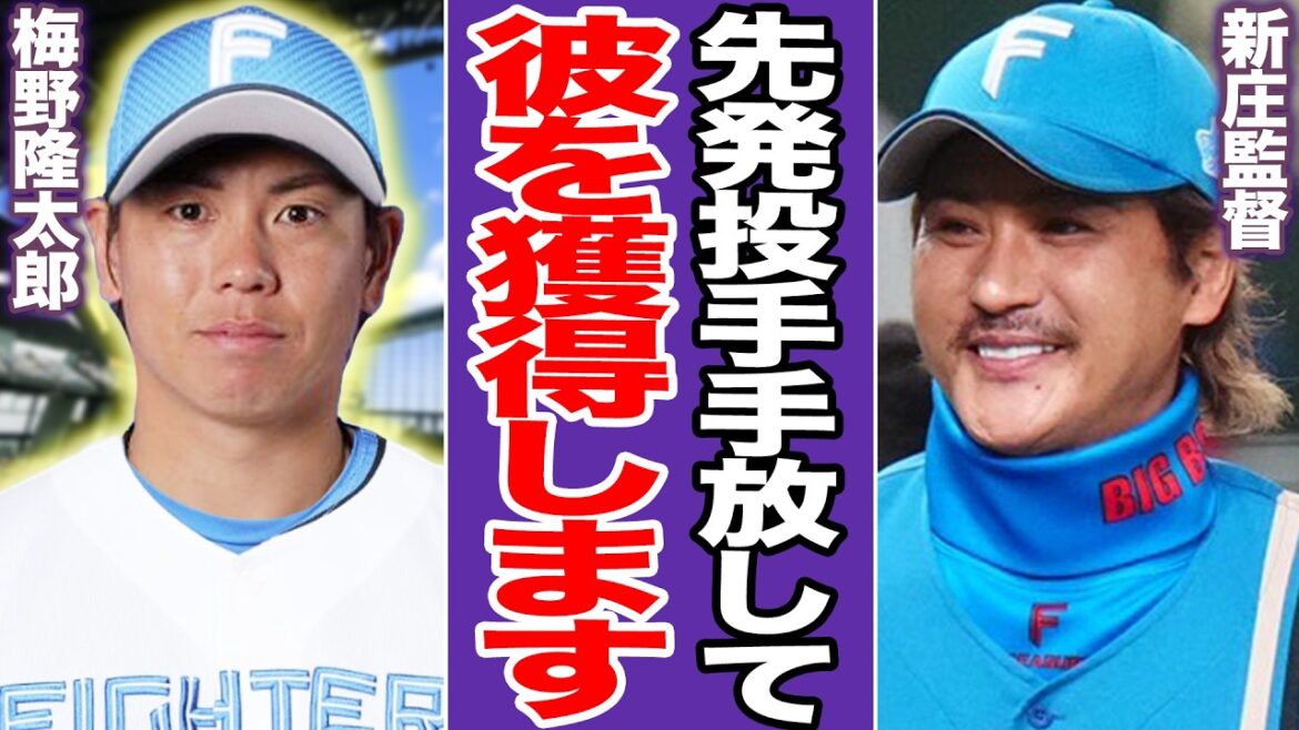 日本ハムが梅野隆太郎をトレード獲得か…伏見を阪神に放出して”再度捕手を獲得”する衝撃の真相に言葉を失う【プロ野球】