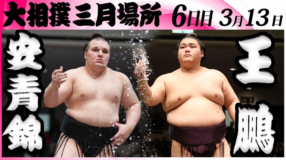 大相撲　安青錦ー王鵬＜令和８年三月場所・６日目＞SUMO