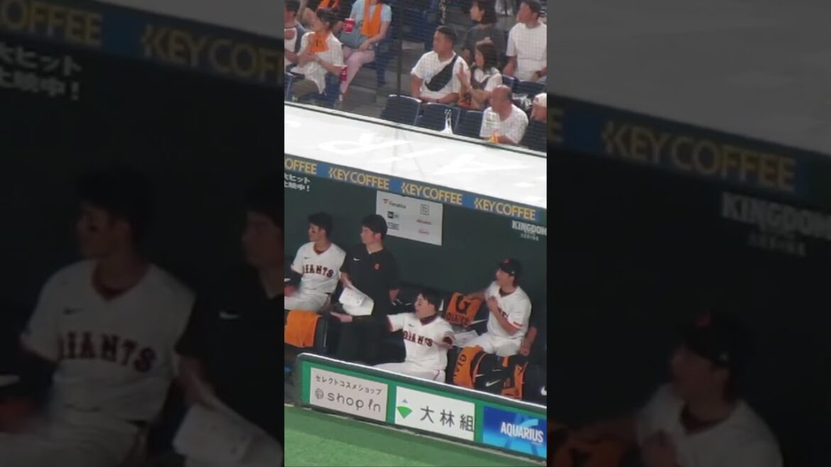 【ジャイアンツベンチ】立岡宗一郎に内野安打出た時の丸佳浩のリアクションなど（ 読売ジャイアンツ対横浜DeNAベイスターズ 2024年7月13日）